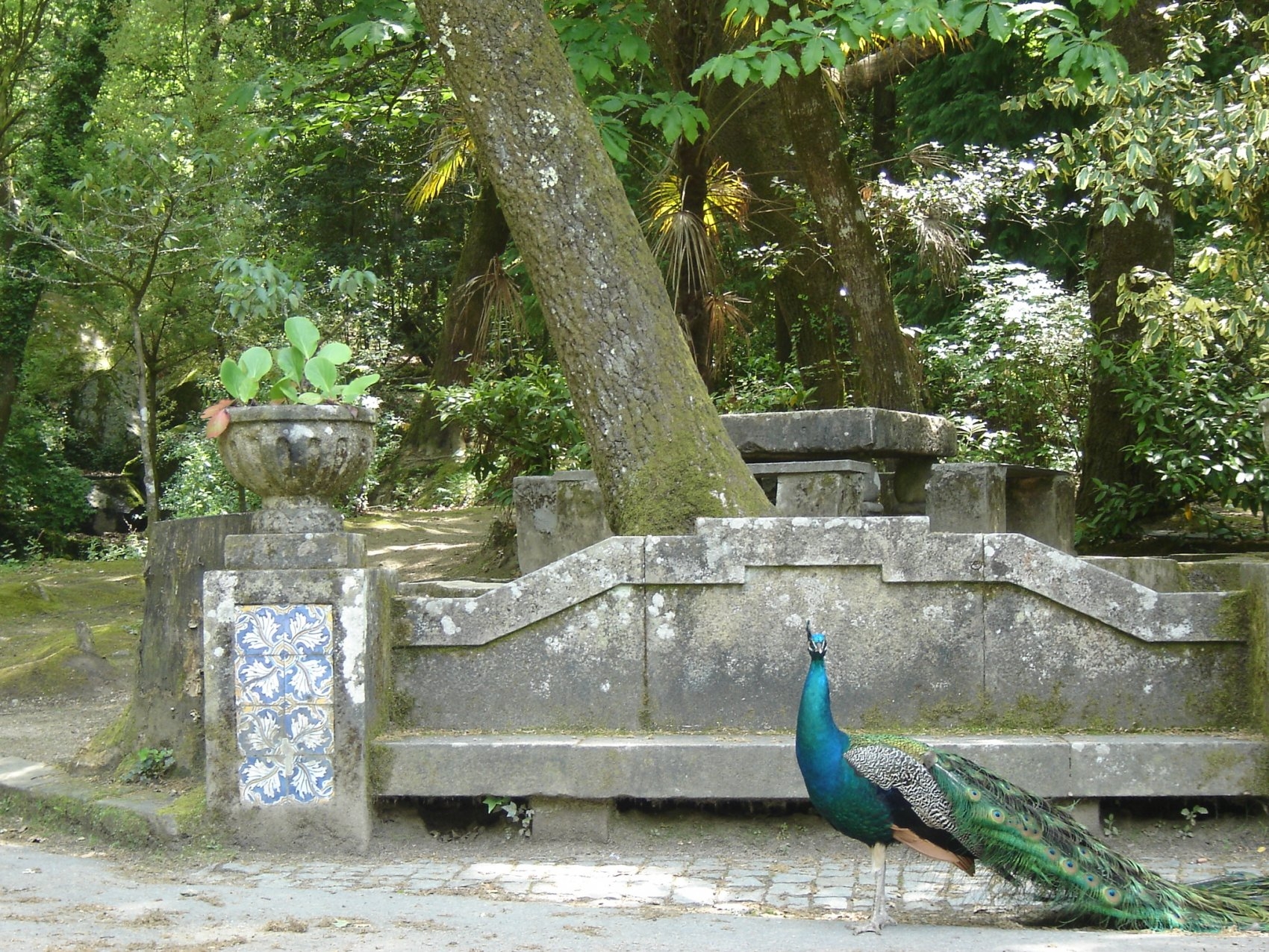 PARQUE DO FONTELO