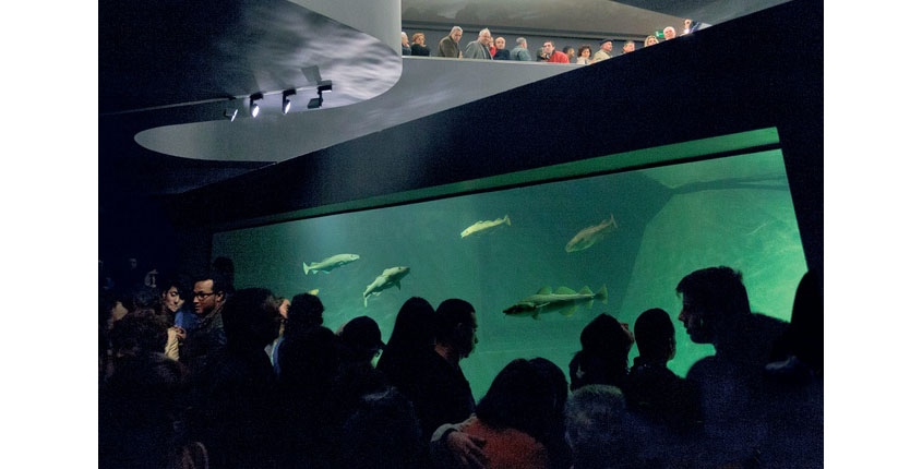 MUSEU MARÍTIMO DE ÍLHAVO 